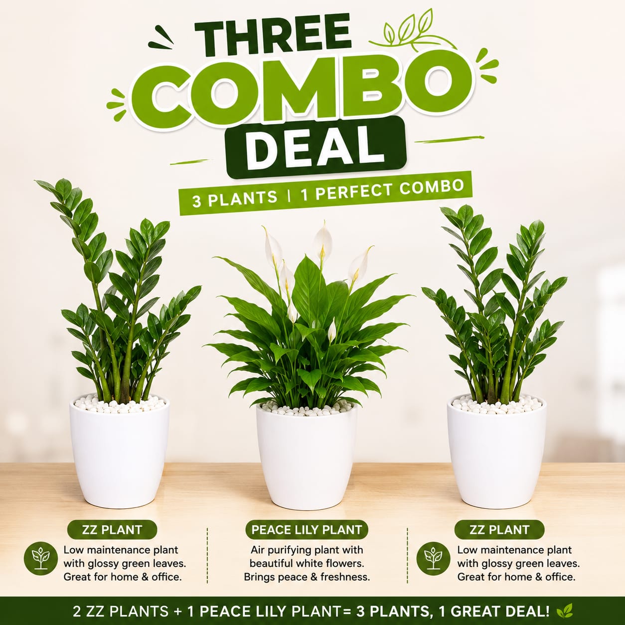 3 Plants Deal (2 ZZ Plants + 1 Peace Lily)